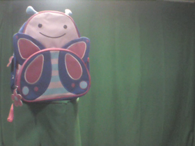 0 Degrees _ Picture 9 _ Pink Butterfly Backpack.png